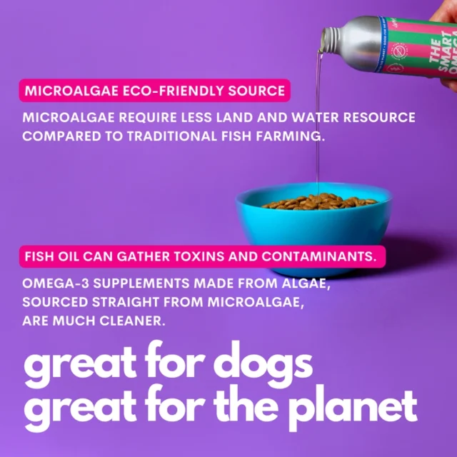 The Smart Omega - Óleo Omega3 à base de plantas para cães - Image 3
