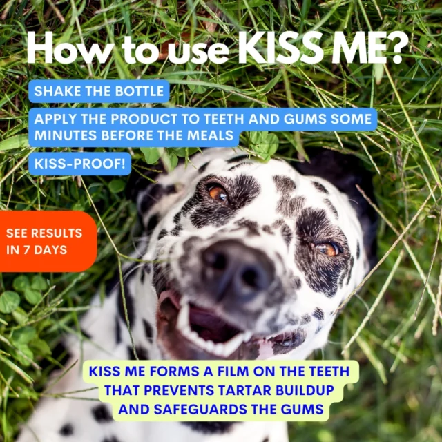 Kiss Me - Spray Dentário Natural para Combater a Halitose para Cães - Image 3
